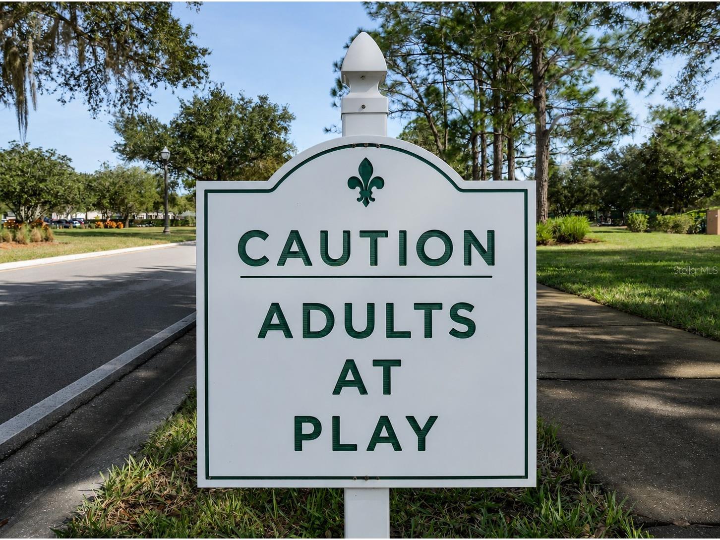 1249 Winding Willow Drive Trinity FL 34655 W7884174 image45