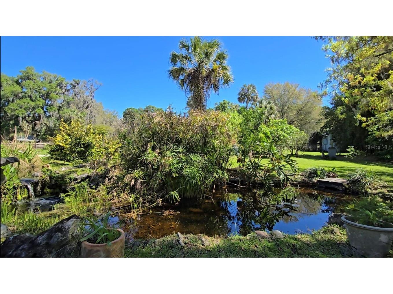 12490 NW Highway 320 Micanopy FL 32667 OM697647 image82