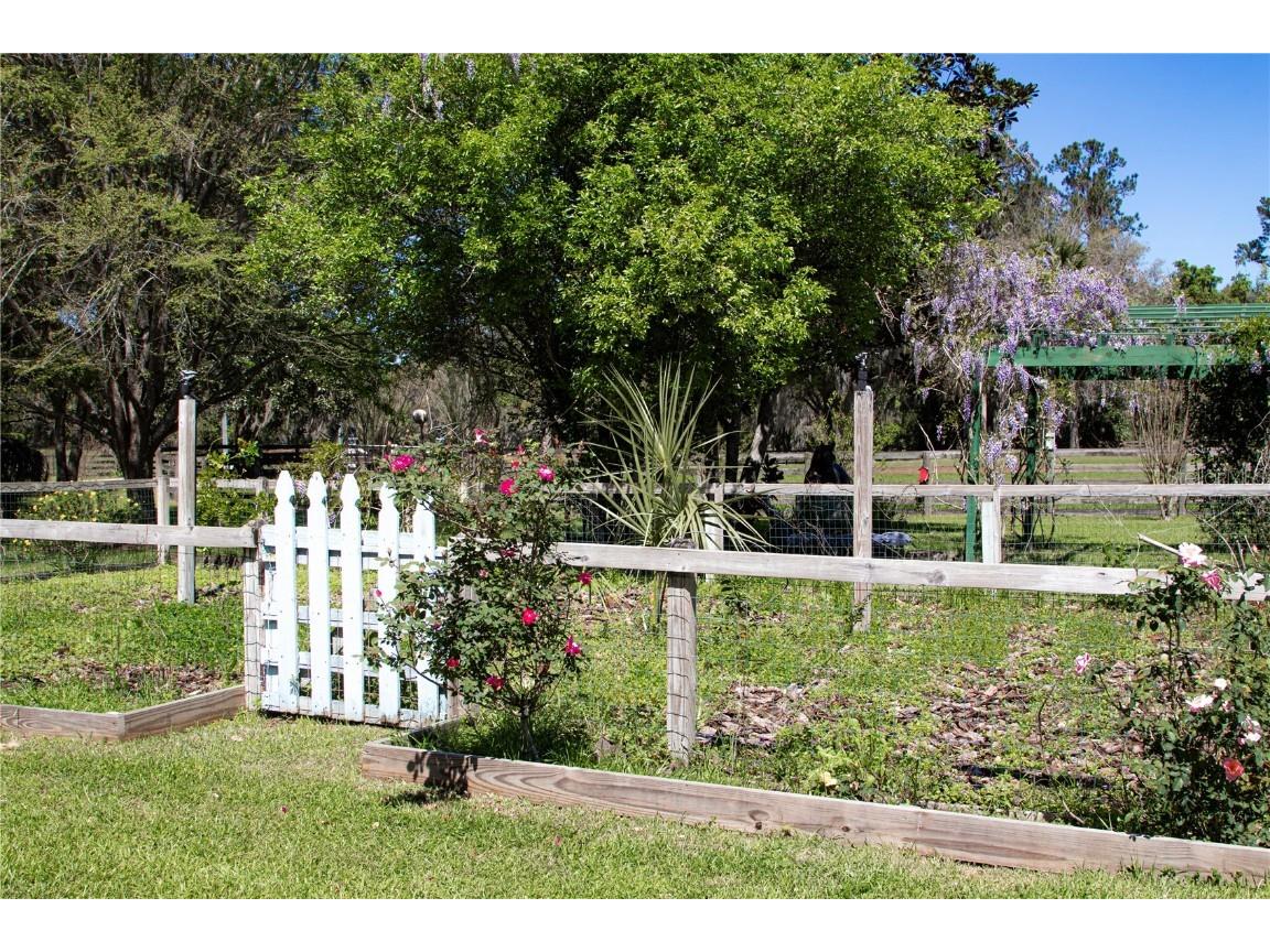 12490 NW Highway 320 Micanopy FL 32667 OM697647 image86