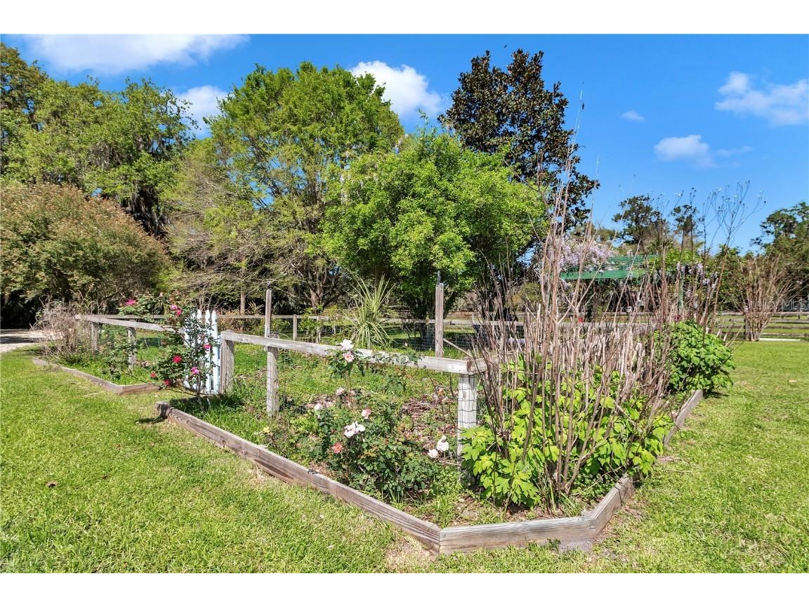 12490 NW Highway 320 Micanopy FL 32667 OM697647 image87