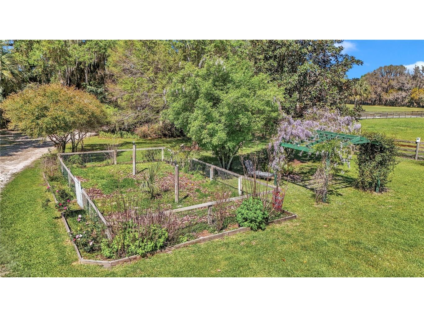 12490 NW Highway 320 Micanopy FL 32667 OM697647 image93