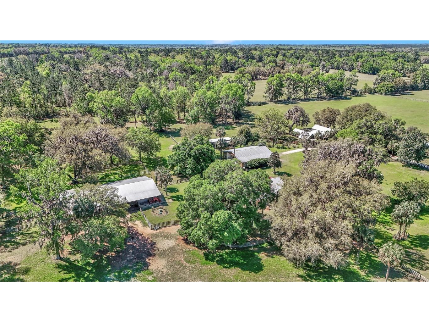 12490 NW Highway 320 Micanopy FL 32667 OM697647 image94