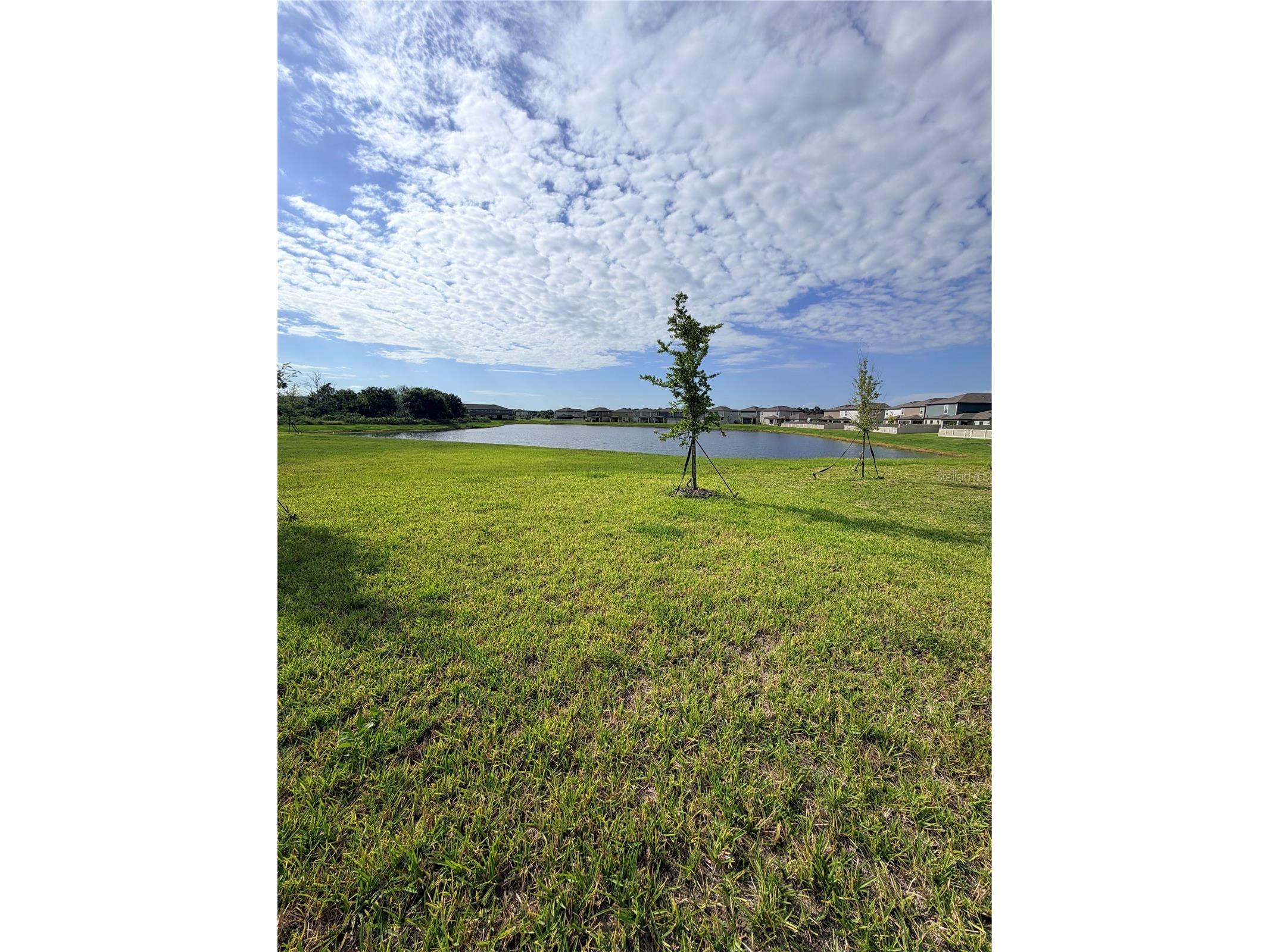 12490 Sweet Angel Aura Way Parrish FL 34219 A4699542 image49