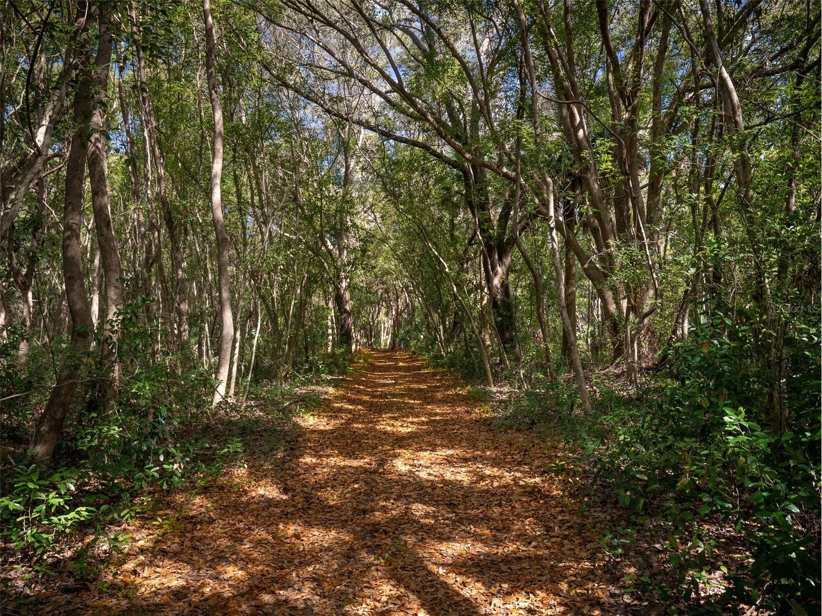 12495 SE Sunset Harbor Road Weirsdale FL 32195 - LAKE WEIR OM723211 image33