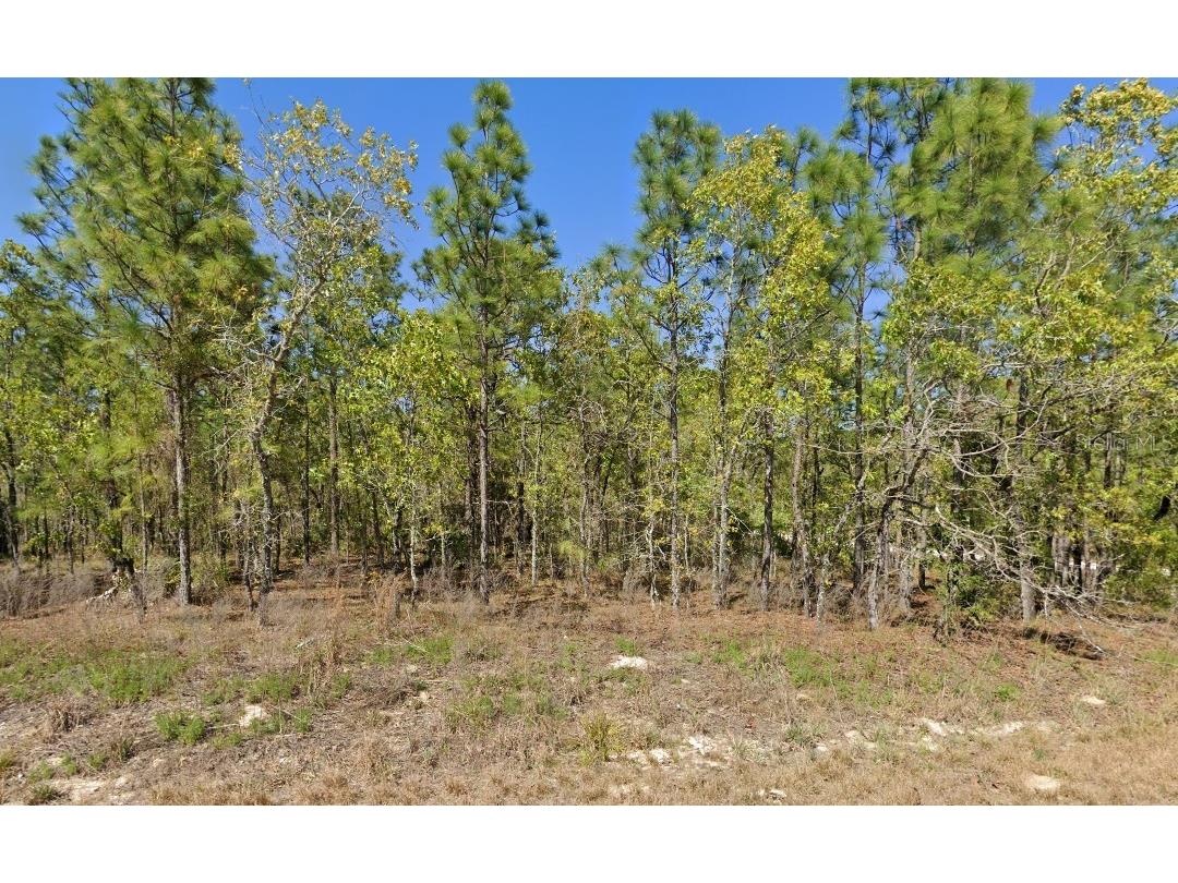 12495 Tinamou Avenue Weeki Wachee FL 34614 W7863186 image1