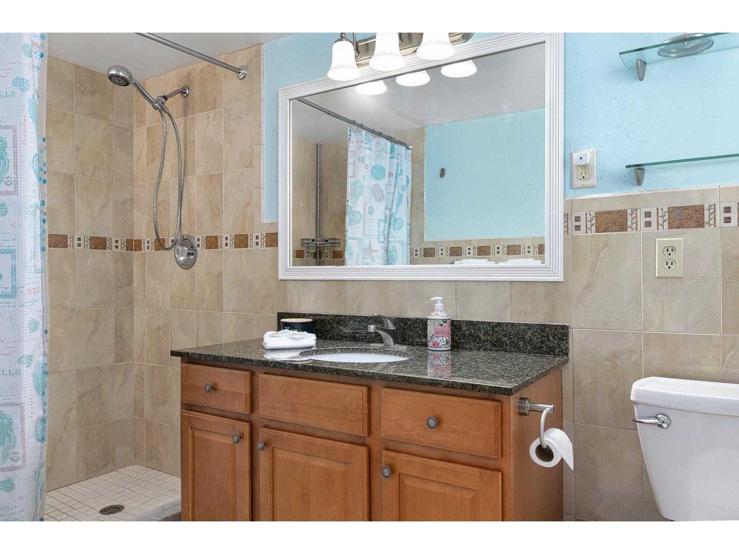 125 110th Avenue #1 Treasure Island FL 33706 - INTRACOASTAL TB8504321 image14