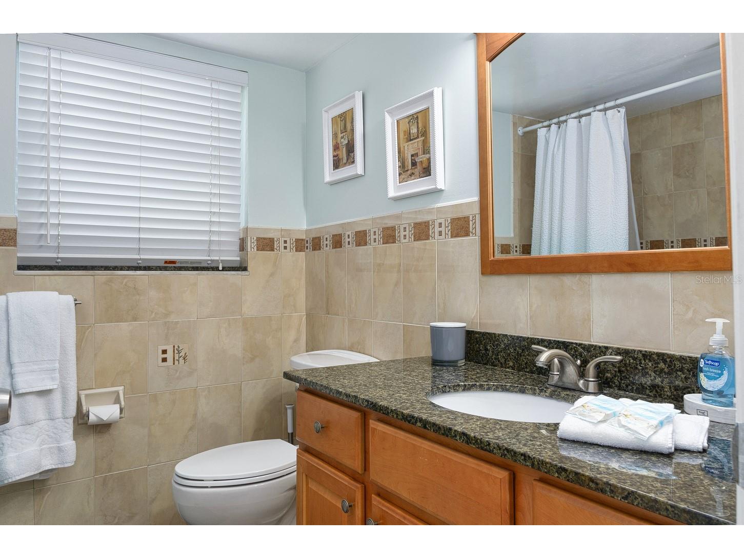 125 110th Avenue #1 Treasure Island FL 33706 - INTRACOASTAL TB8504321 image15