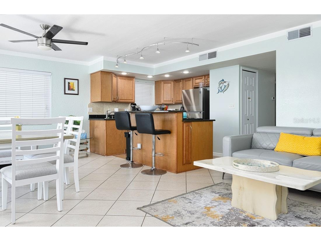 125 110th Avenue #1 Treasure Island FL 33706 - INTRACOASTAL TB8504321 image6