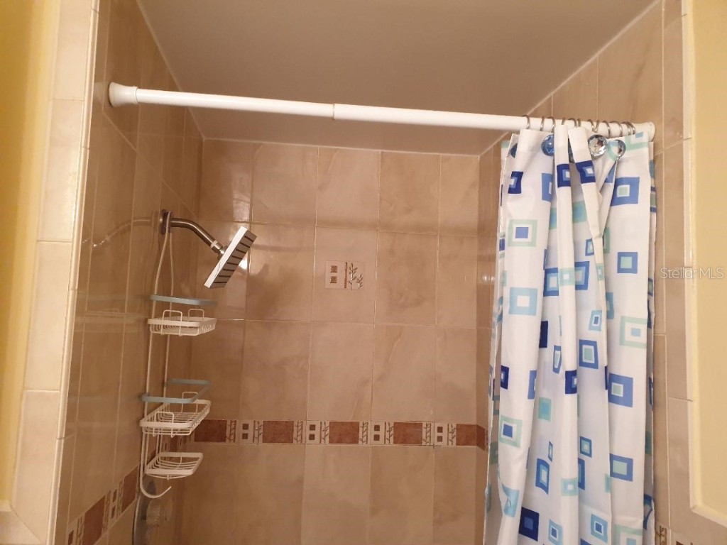 125 110th Avenue #2 Treasure Island FL 33706 - INTRACOASTAL TB8434966 image21