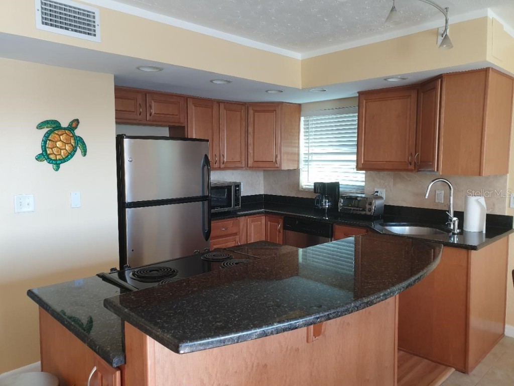 125 110th Avenue #2 Treasure Island FL 33706 - INTRACOASTAL TB8434966 image5