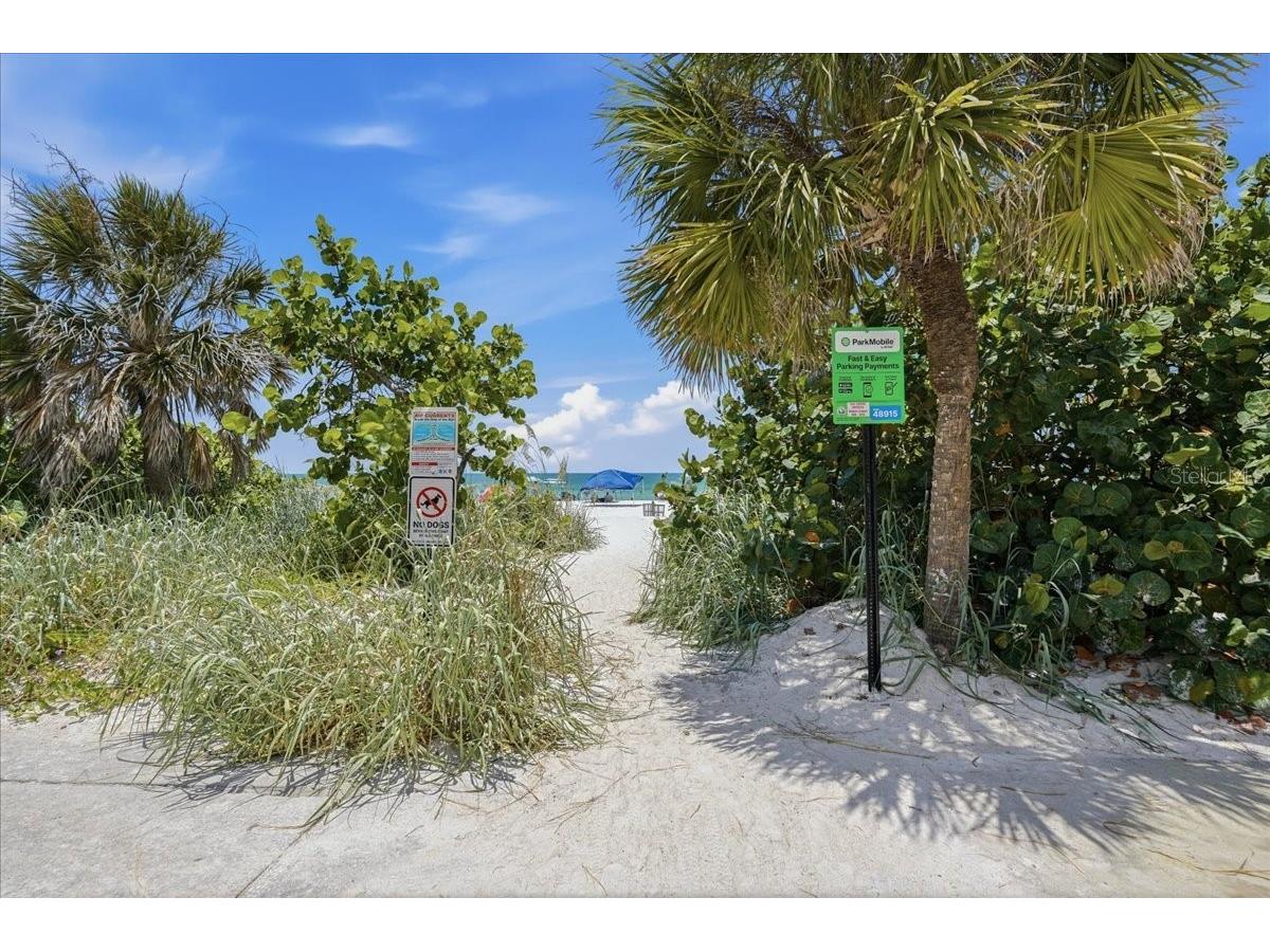 125 13th Avenue Indian Rocks Beach FL 33785 TB8526315 image32