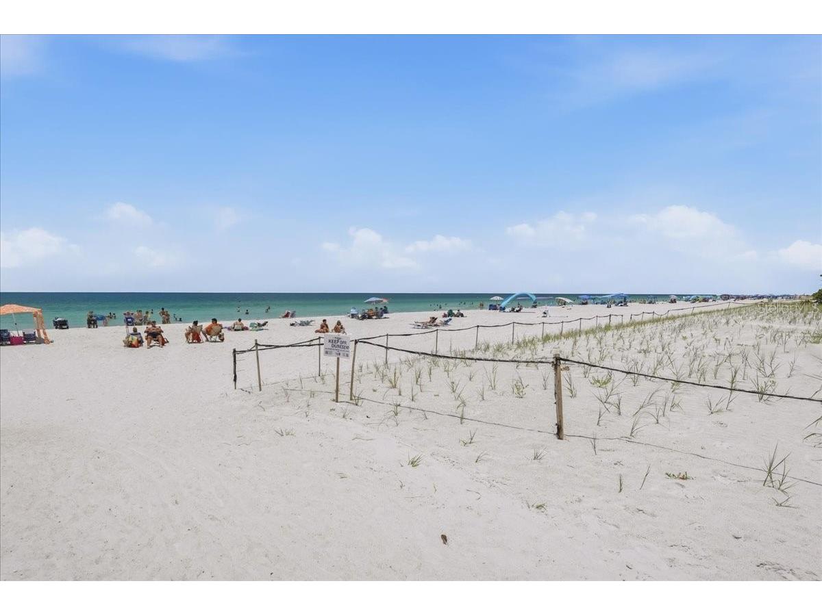 125 13th Avenue Indian Rocks Beach FL 33785 TB8526315 image33