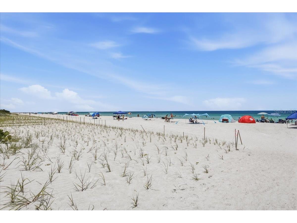 125 13th Avenue Indian Rocks Beach FL 33785 TB8526315 image4