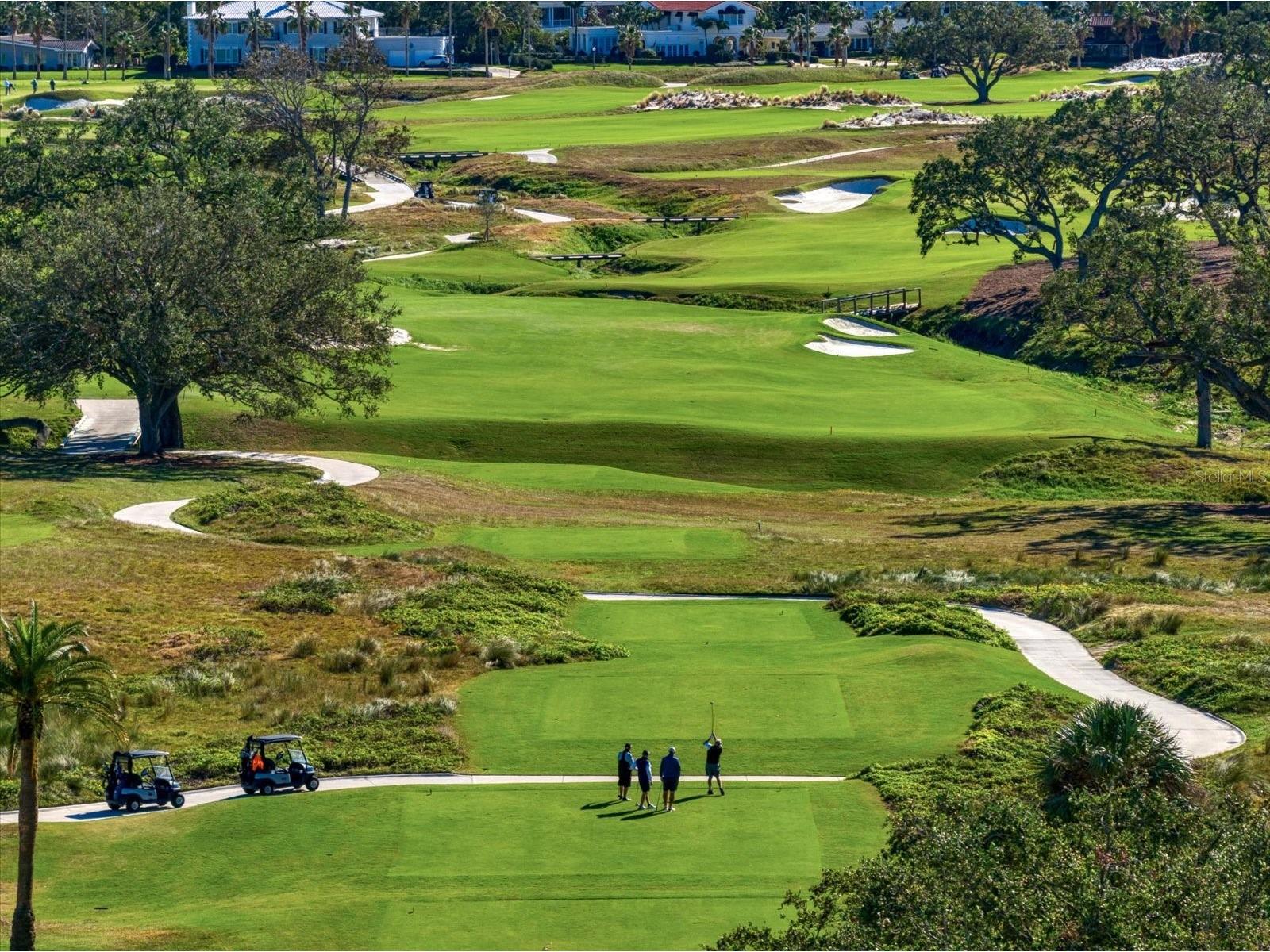 125 Belleview Boulevard #302 Belleair FL 33756 TB8487508 image68