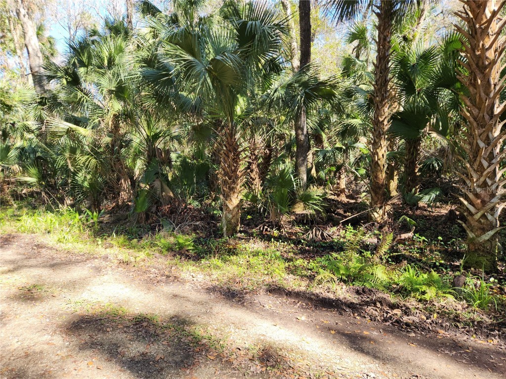 125 Branham Lane Deltona FL 32738 V4928236 image1