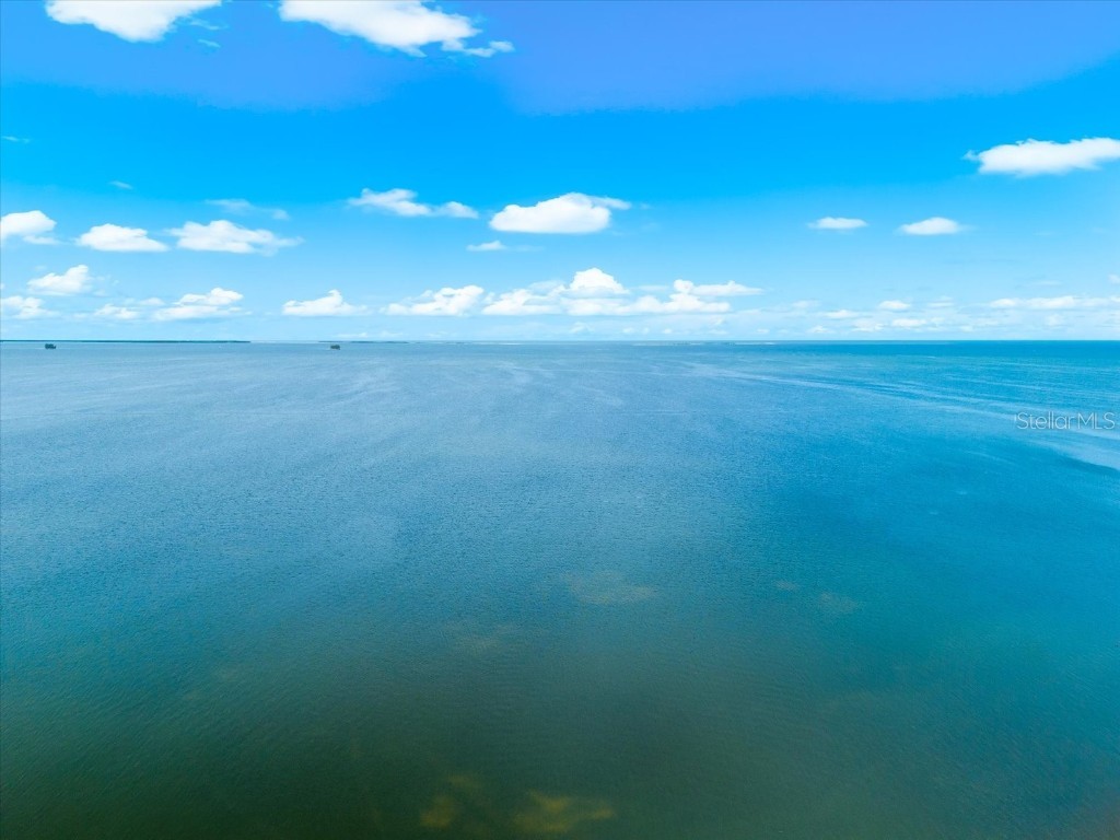 125 Carlyle Drive Palm Harbor FL 34683 - ST. JOSEPH'S SOUND TB8385052 image59