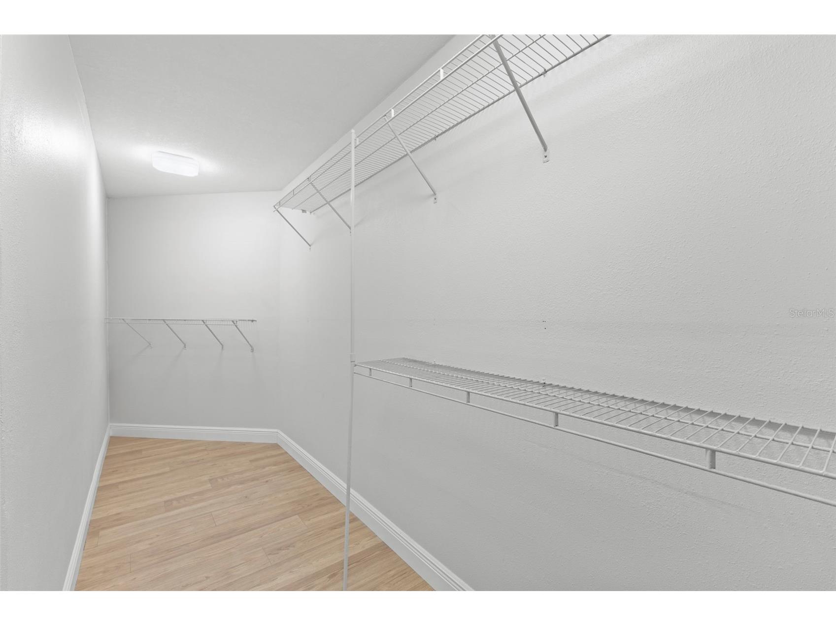 125 Carlyle Drive Palm Harbor FL 34683 TB8496063 image26