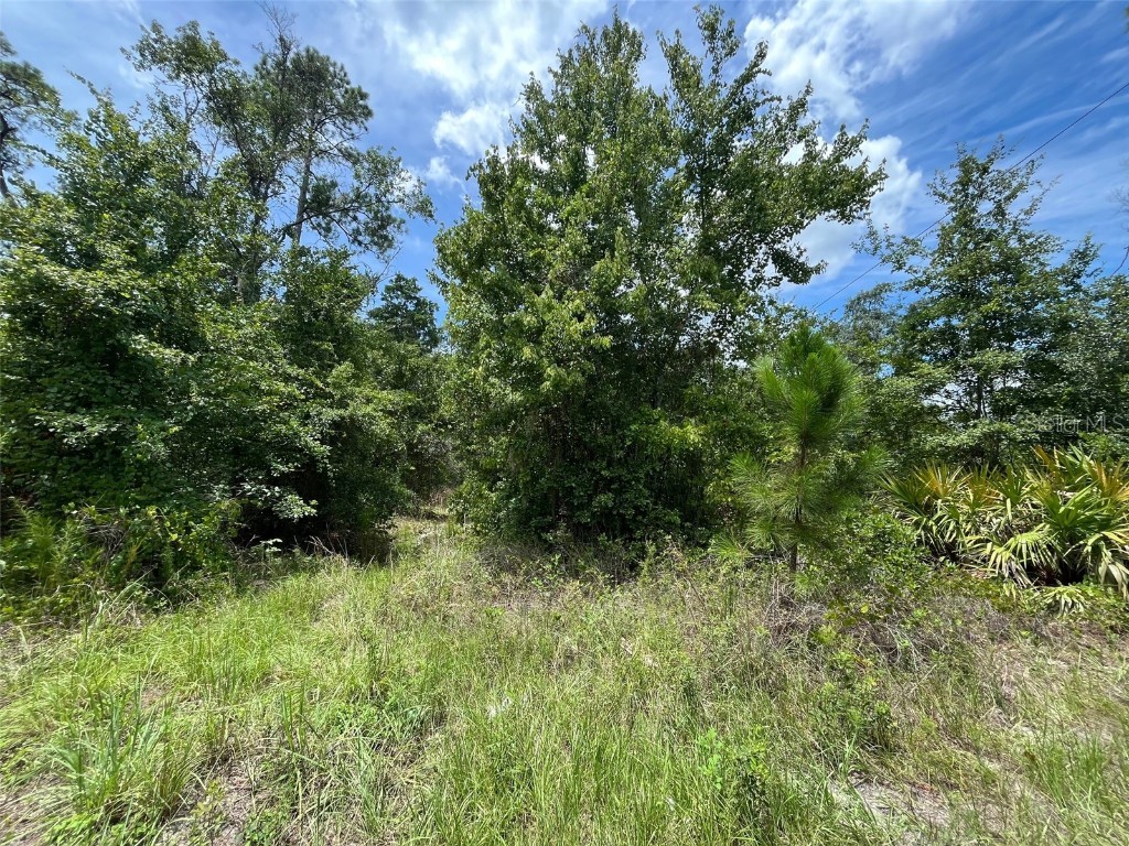 125 Carr Place Satsuma FL 32189 OK224230 image1