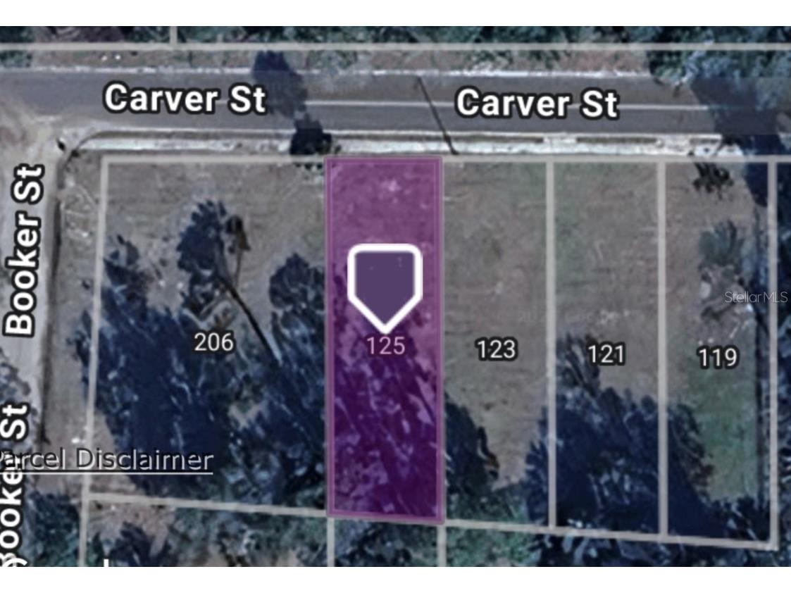 125 Carver Street Palatka FL 32177 OM714022 image1