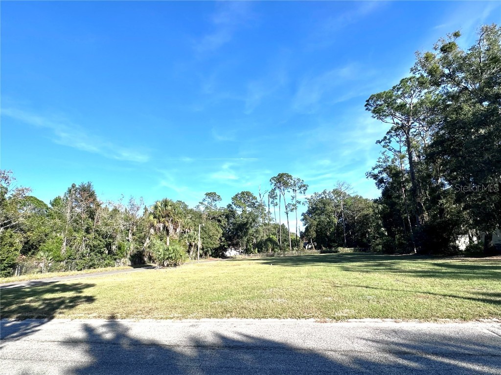 125 Carver Street Palatka FL 32177 OM714022 image7
