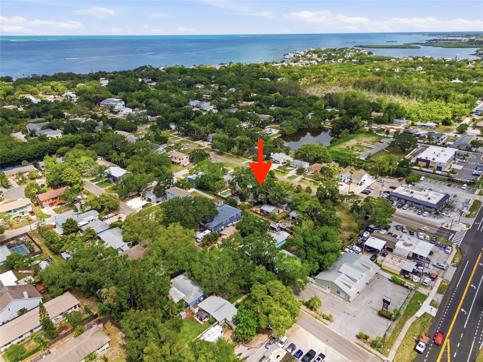125 Crystal Beach Avenue Crystal Beach FL 34681 TB8511458 image35