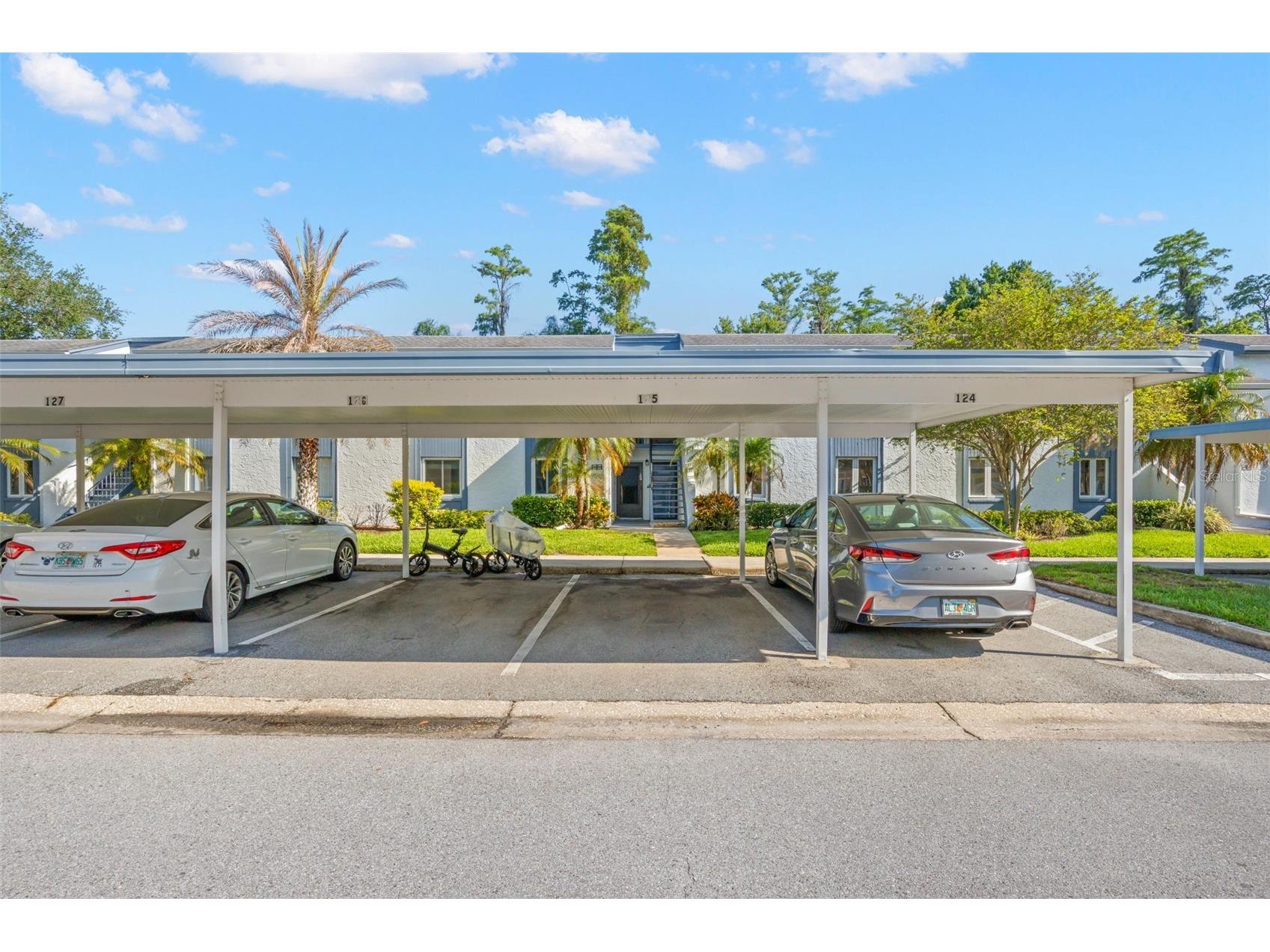 125 Cypress Lane #125 Oldsmar FL 34677 TB8499229 image1