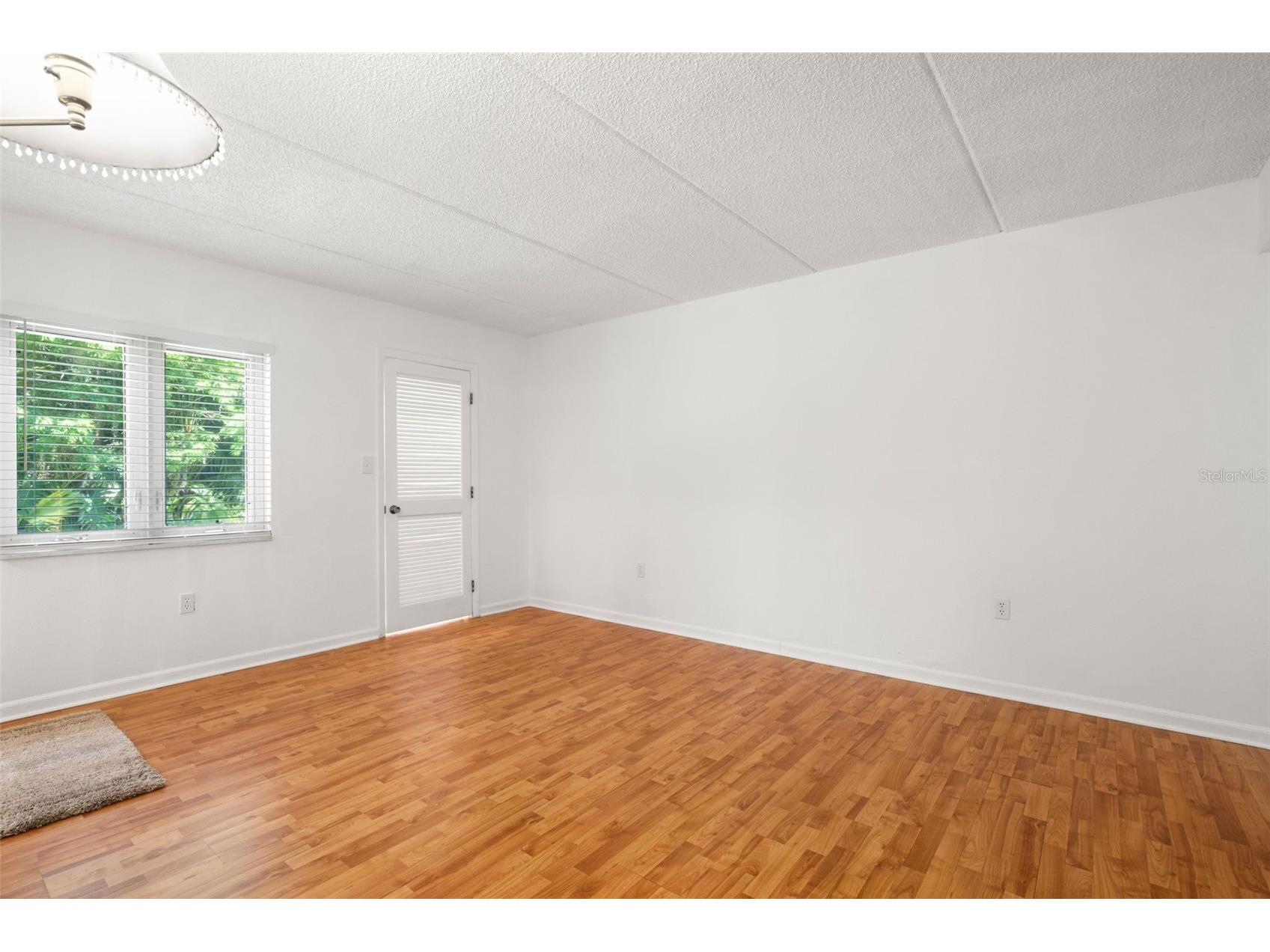 125 Cypress Lane #125 Oldsmar FL 34677 TB8499229 image22