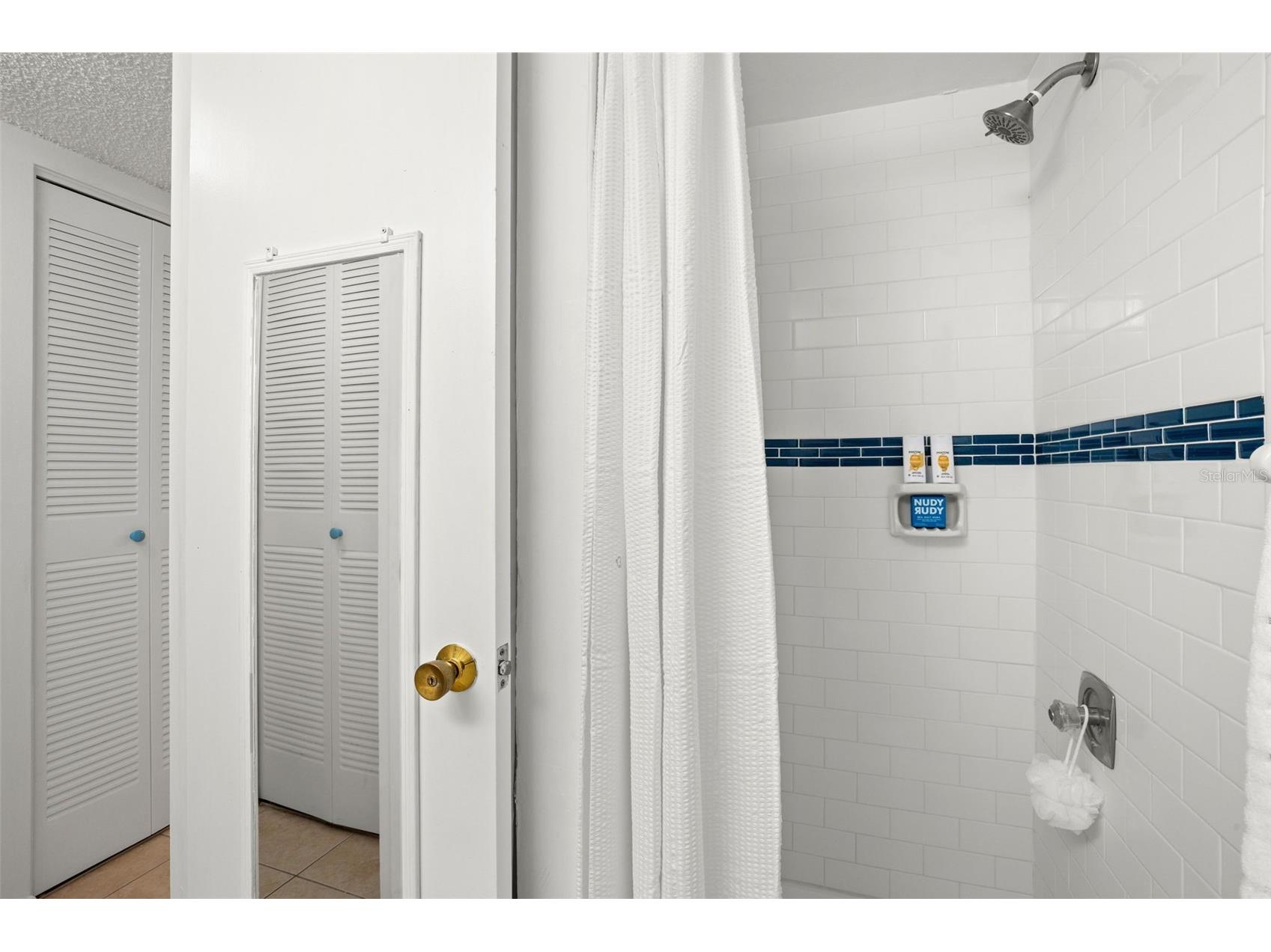 125 Cypress Lane #125 Oldsmar FL 34677 TB8499229 image31