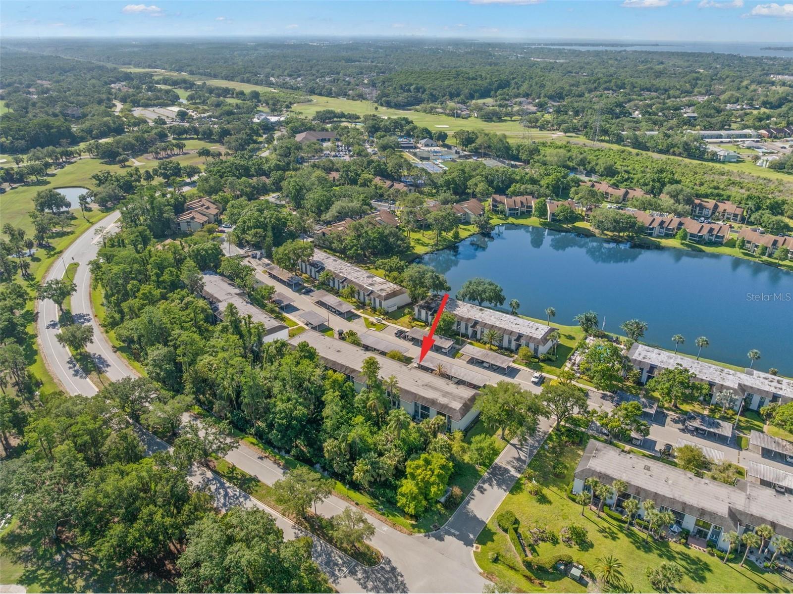 125 Cypress Lane #125 Oldsmar FL 34677 TB8499229 image32