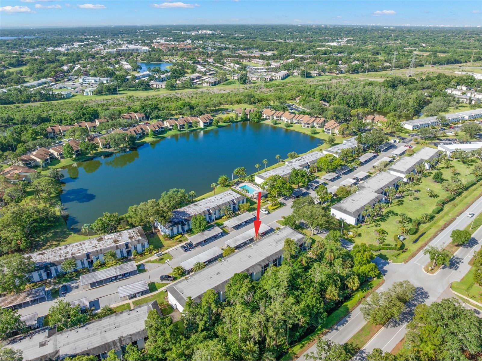 125 Cypress Lane #125 Oldsmar FL 34677 TB8499229 image33