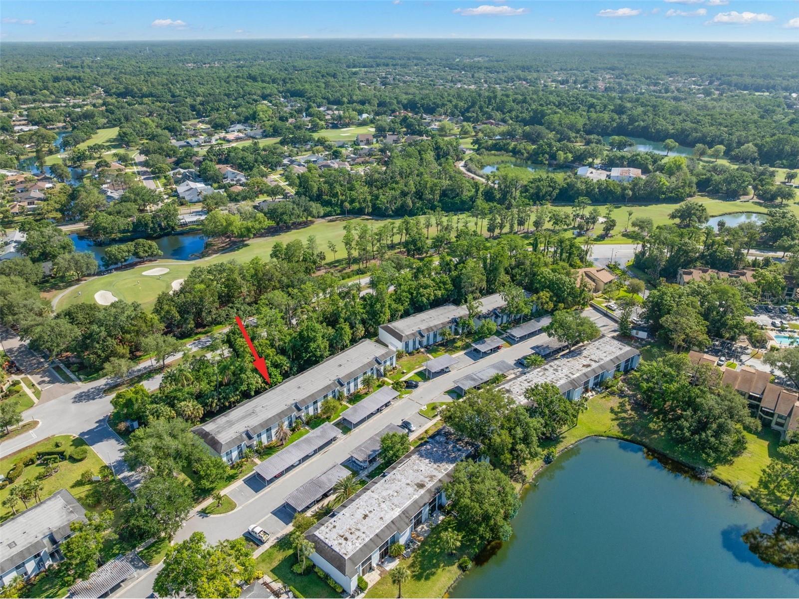 125 Cypress Lane #125 Oldsmar FL 34677 TB8499229 image34