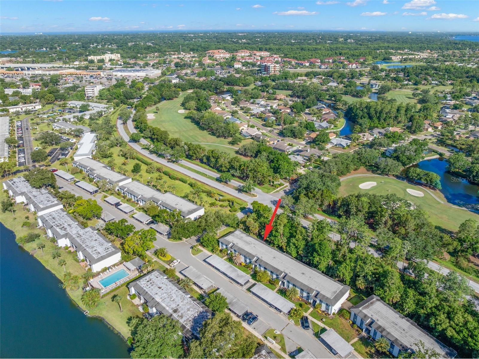 125 Cypress Lane #125 Oldsmar FL 34677 TB8499229 image35