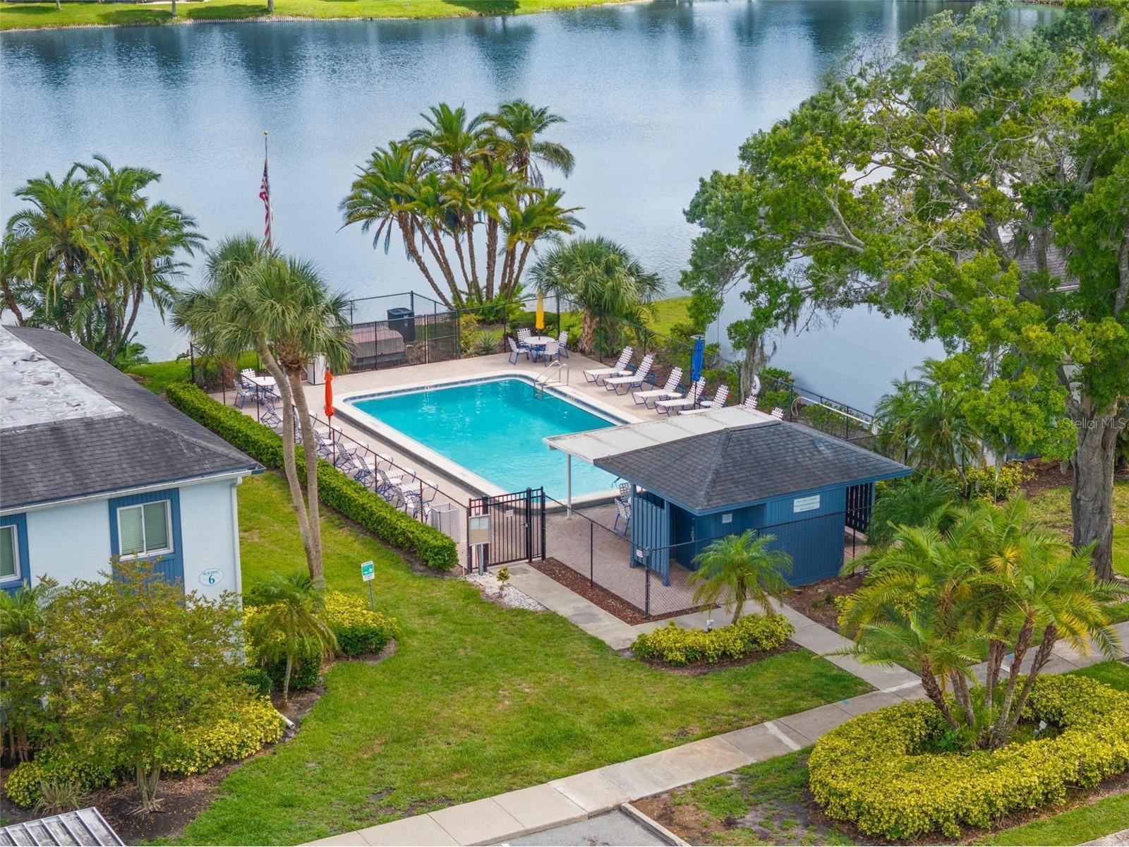 125 Cypress Lane #125 Oldsmar FL 34677 TB8499229 image36