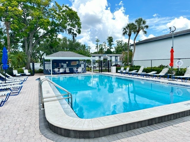 125 Cypress Lane #125 Oldsmar FL 34677 TB8499229 image38