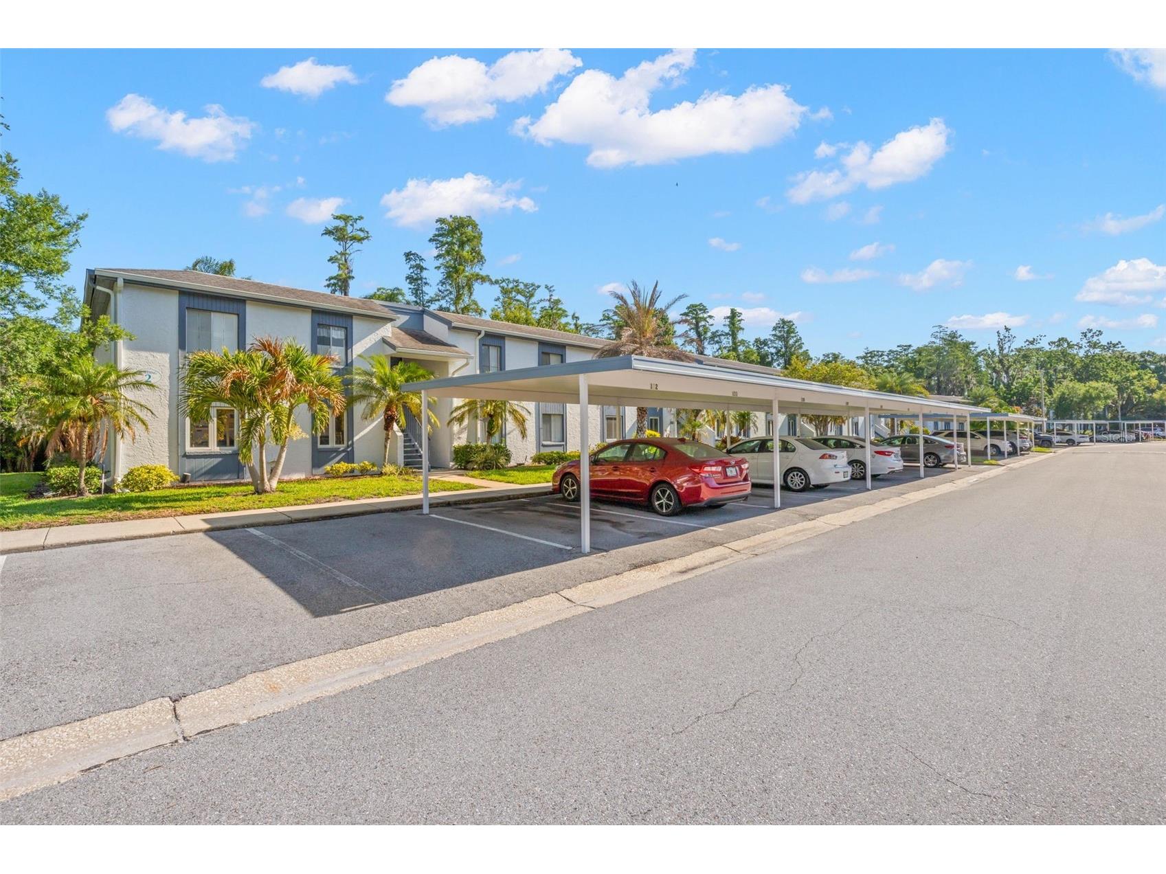 125 Cypress Lane #125 Oldsmar FL 34677 TB8499229 image42