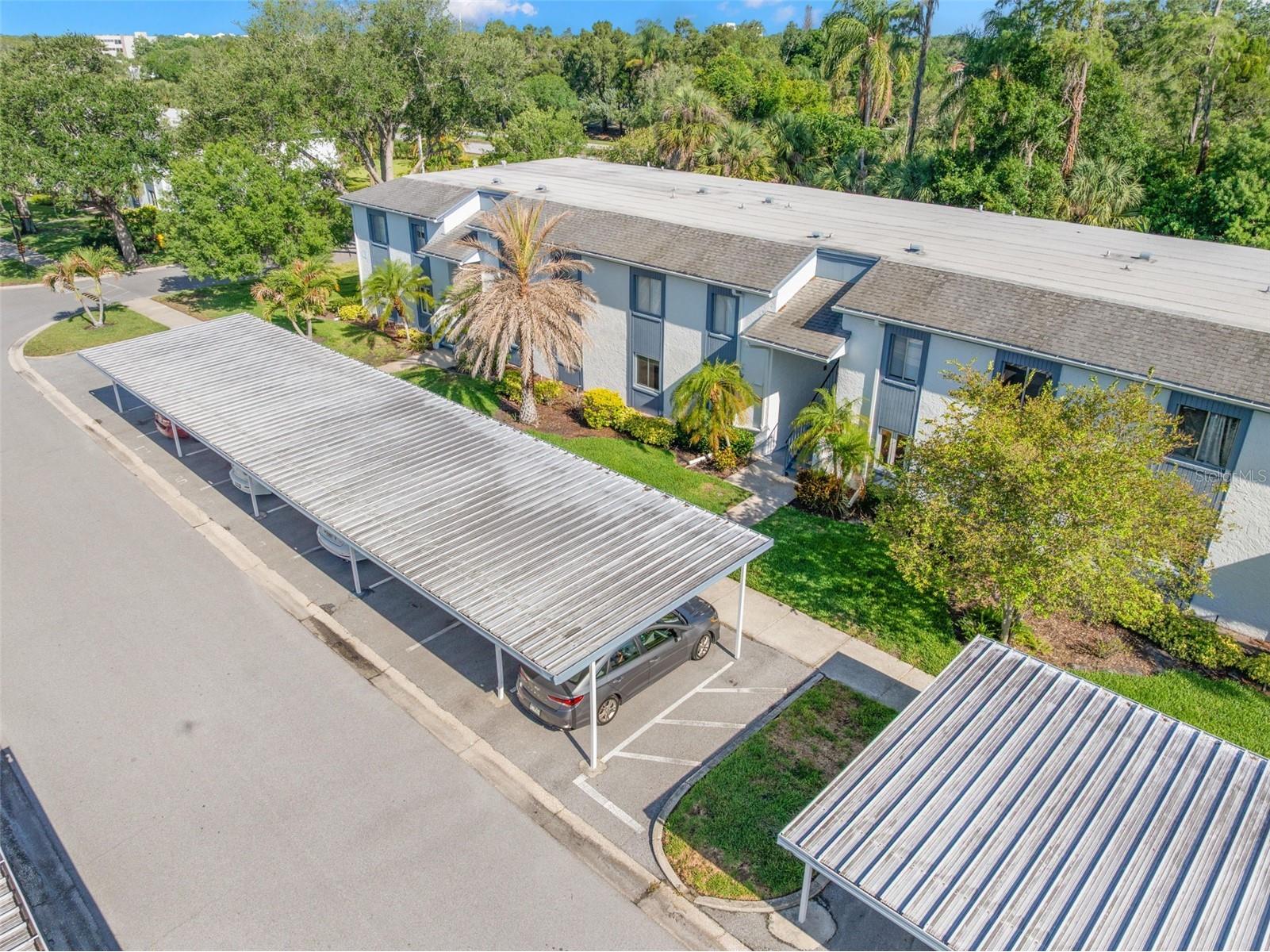 125 Cypress Lane #125 Oldsmar FL 34677 TB8499229 image43