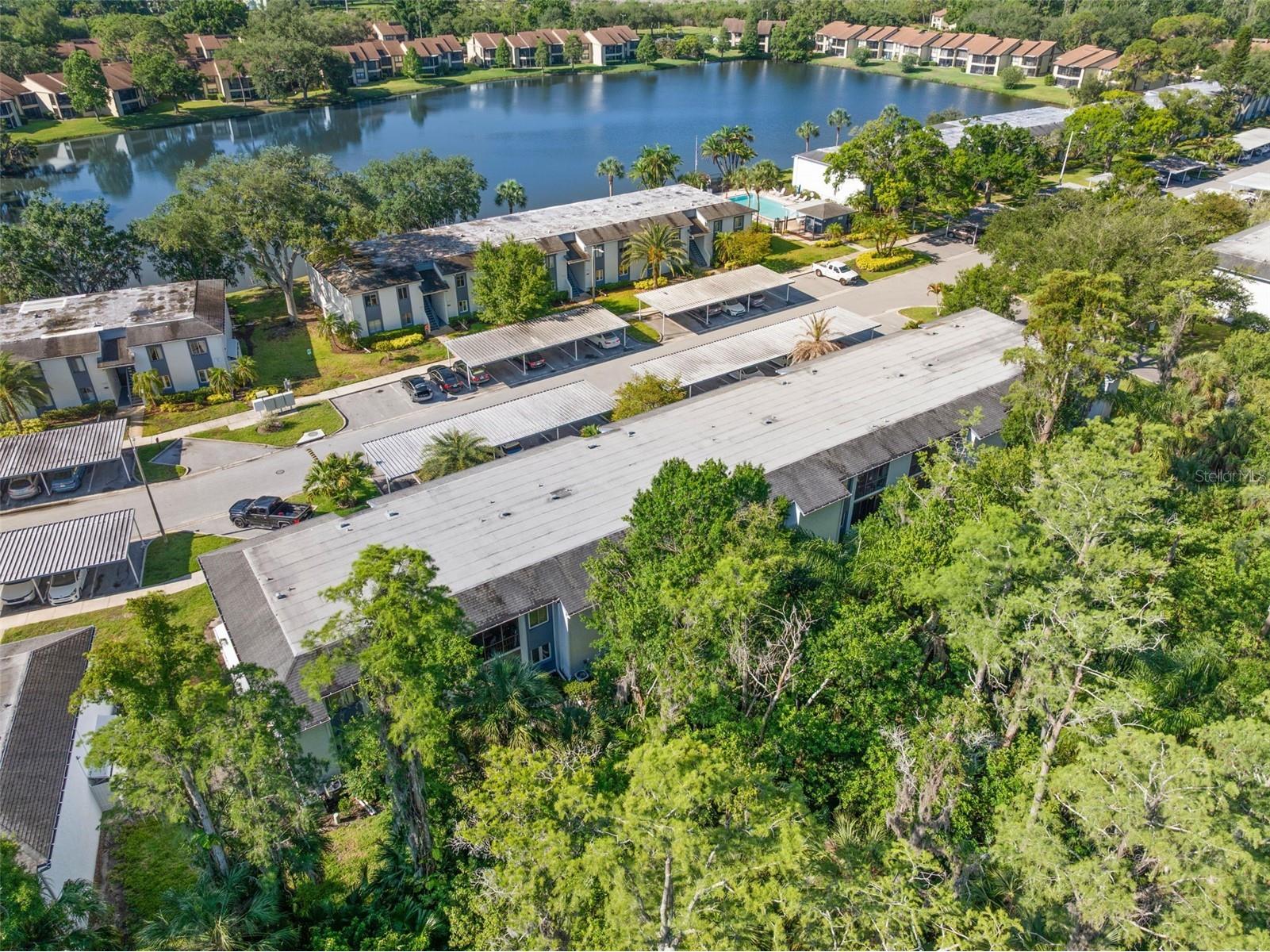 125 Cypress Lane #125 Oldsmar FL 34677 TB8499229 image45