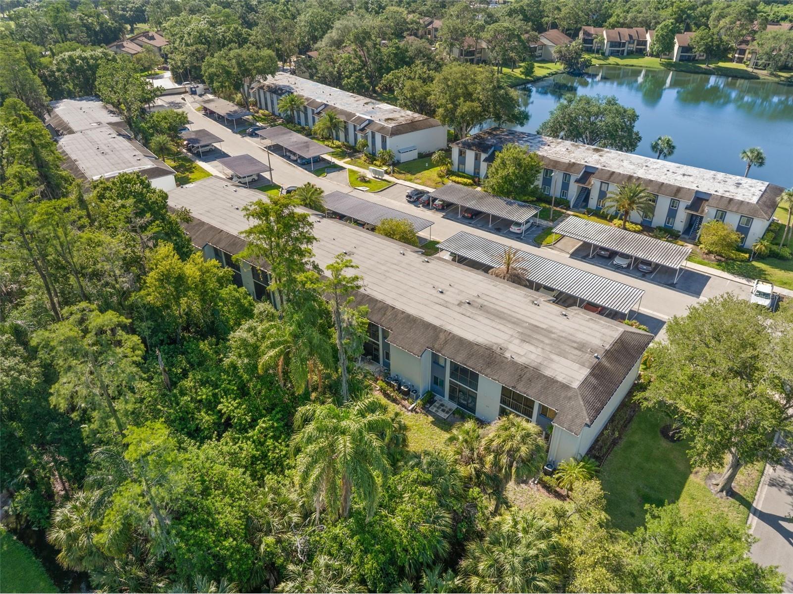 125 Cypress Lane #125 Oldsmar FL 34677 TB8499229 image46