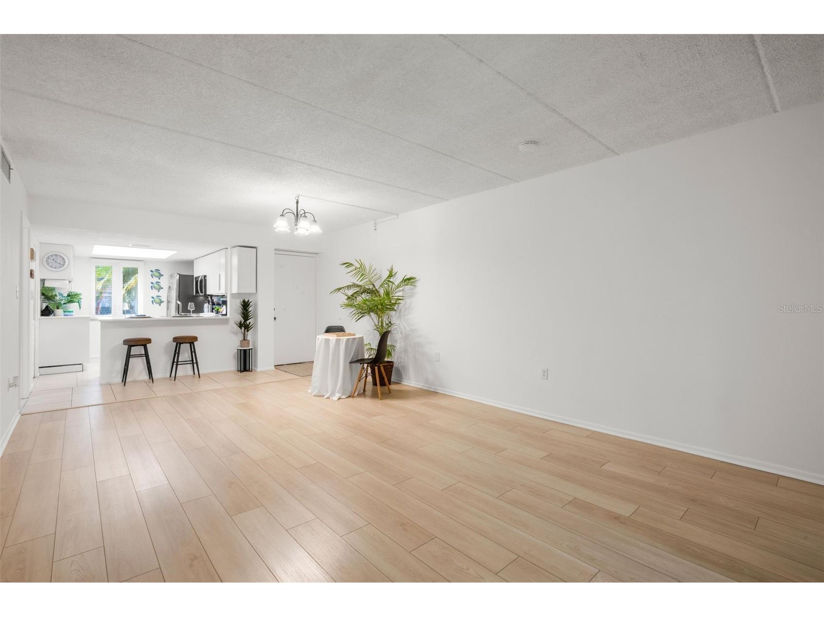 125 Cypress Lane #125 Oldsmar FL 34677 TB8499229 image5
