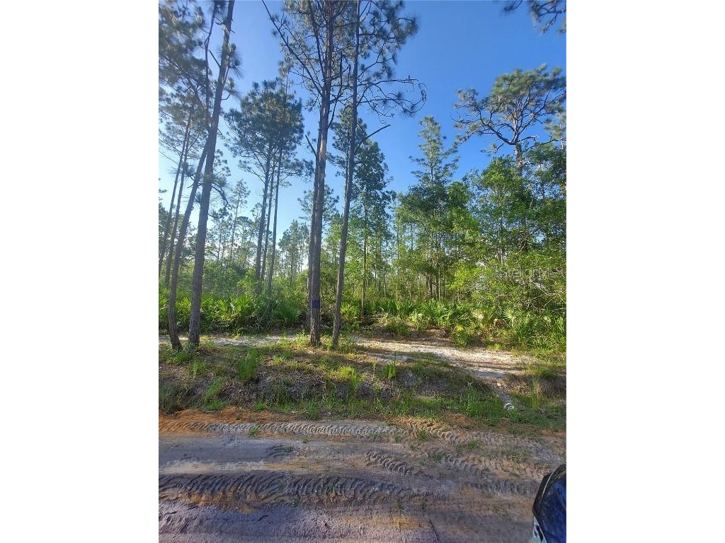 125 Donkin Avenue Interlachen FL 32148 GC513992 image1