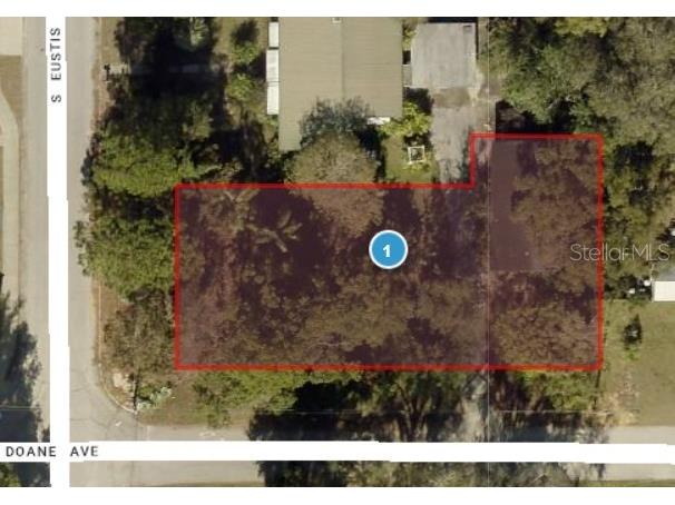 125 E Doanne Avenue Eustis FL 32726 G5100720 image1