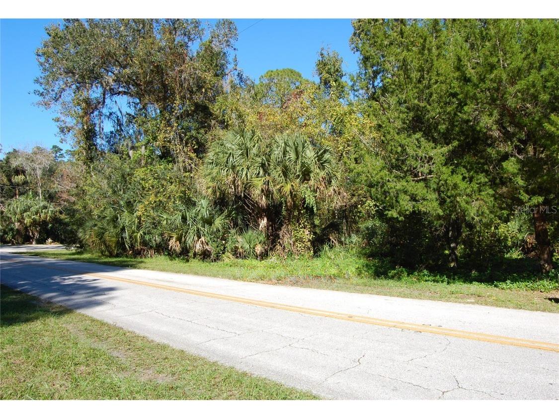 125 Jungle Road New Smyrna Beach FL 32168 NS1083227 image1
