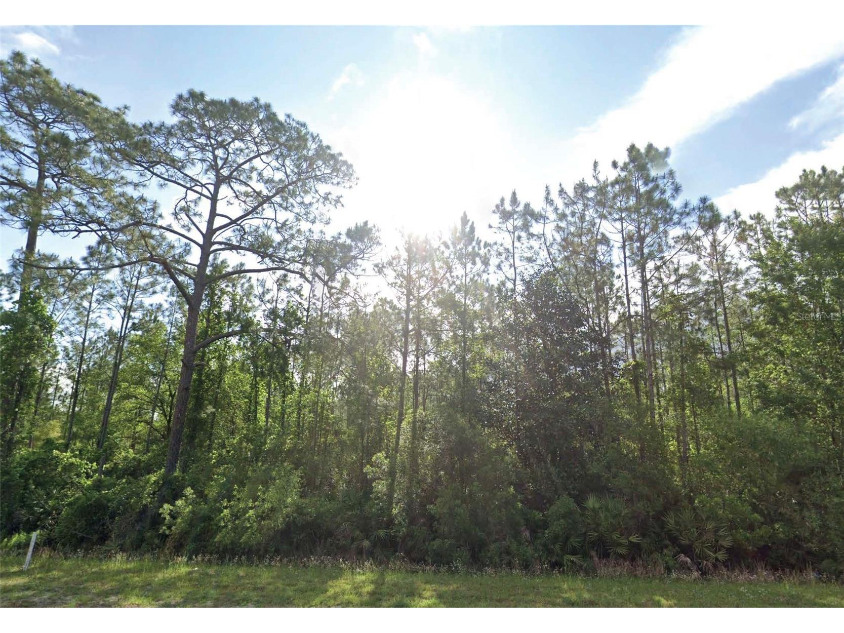 125 Madeira Street Palatka FL 32177 O6408314 image1