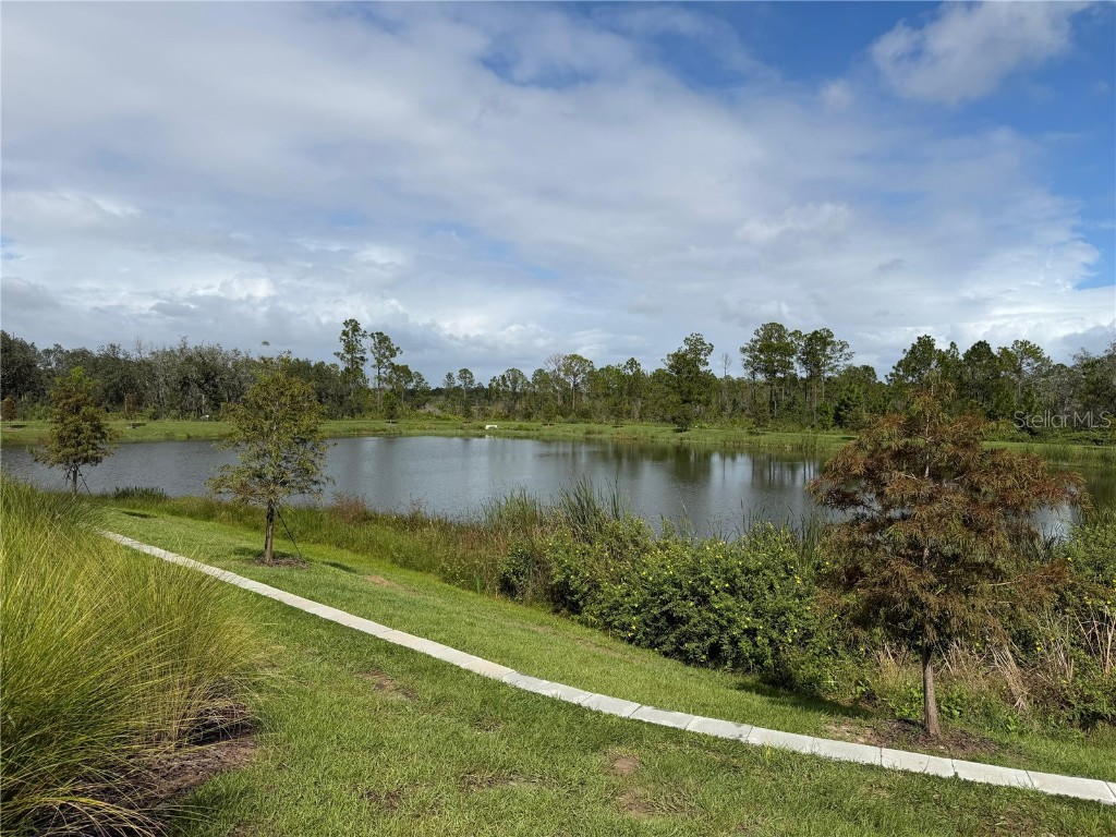 125 Nine Iron Drive Davenport FL 33896 O6350187 image46