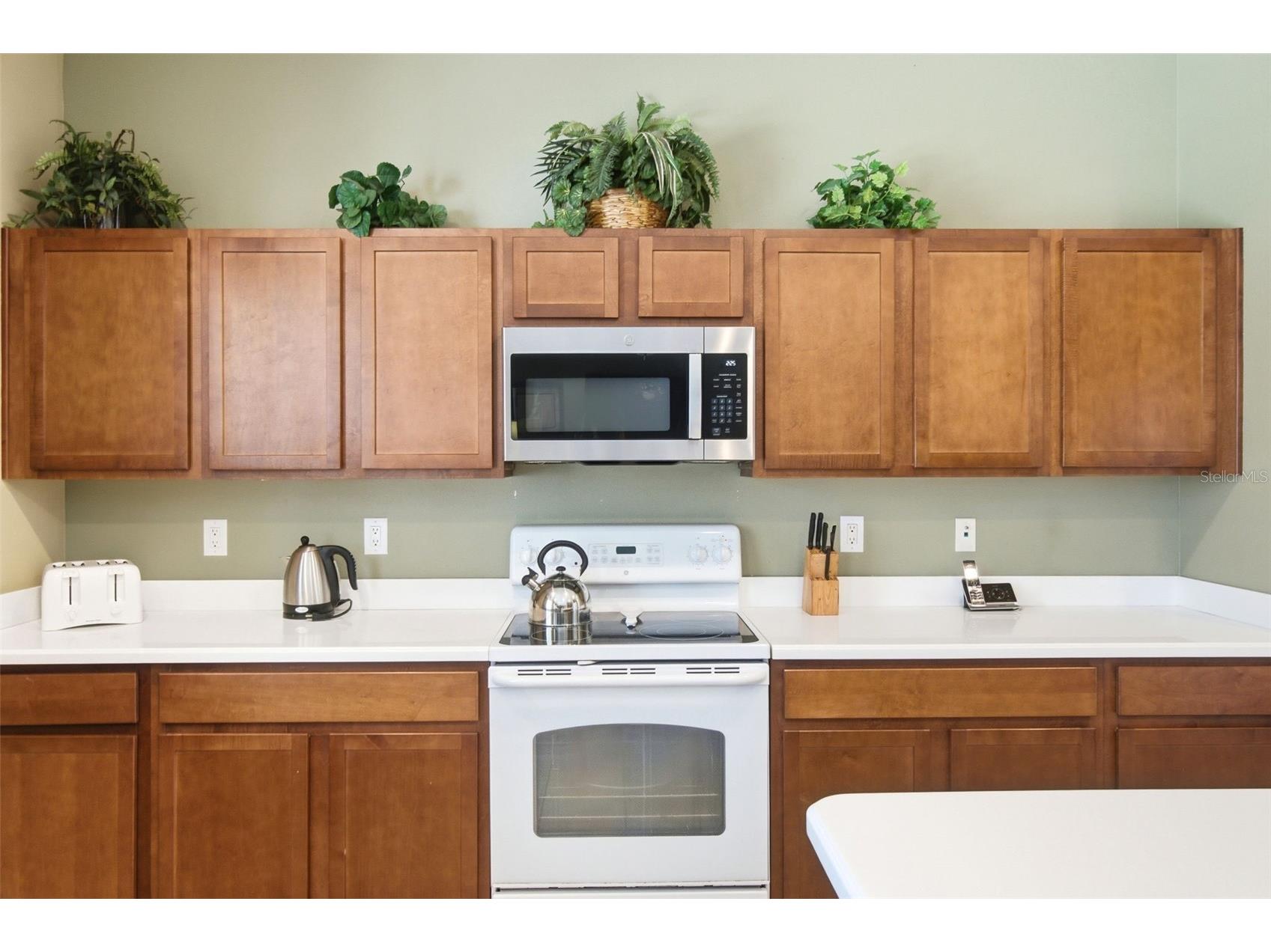 125 Norfolk Drive Davenport FL 33896 G5114040 image21