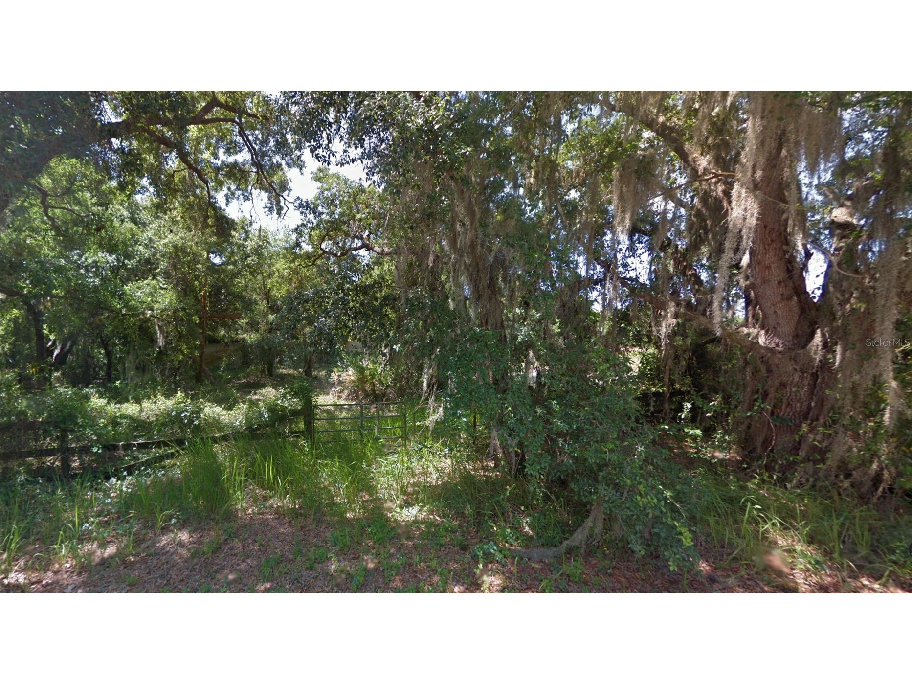 125 Oak Lane Zolfo Springs FL 33890 TB8514787 image3