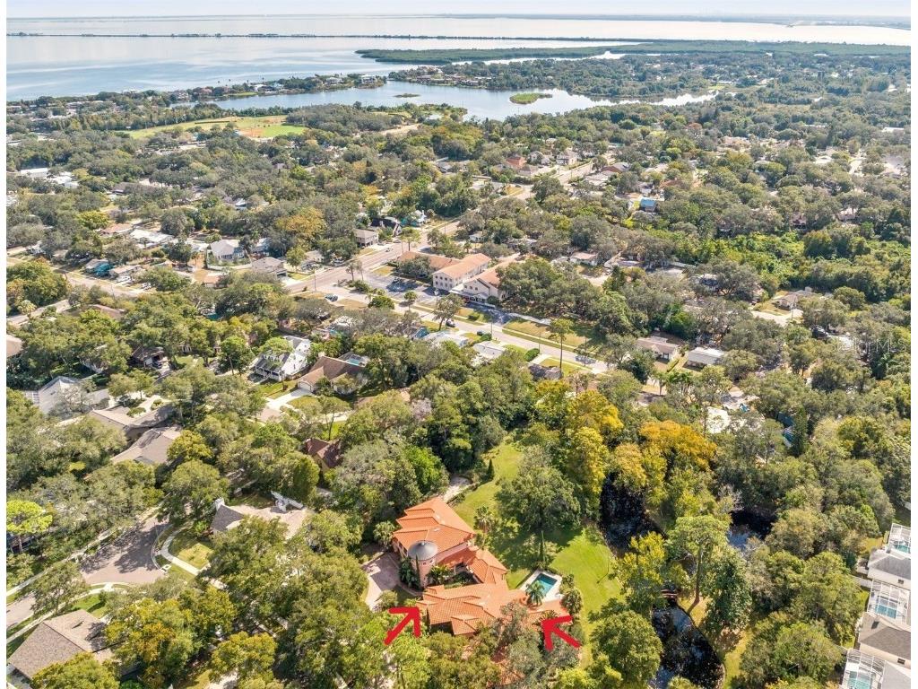125 Park Street Safety Harbor FL 34695 U8221232 image1