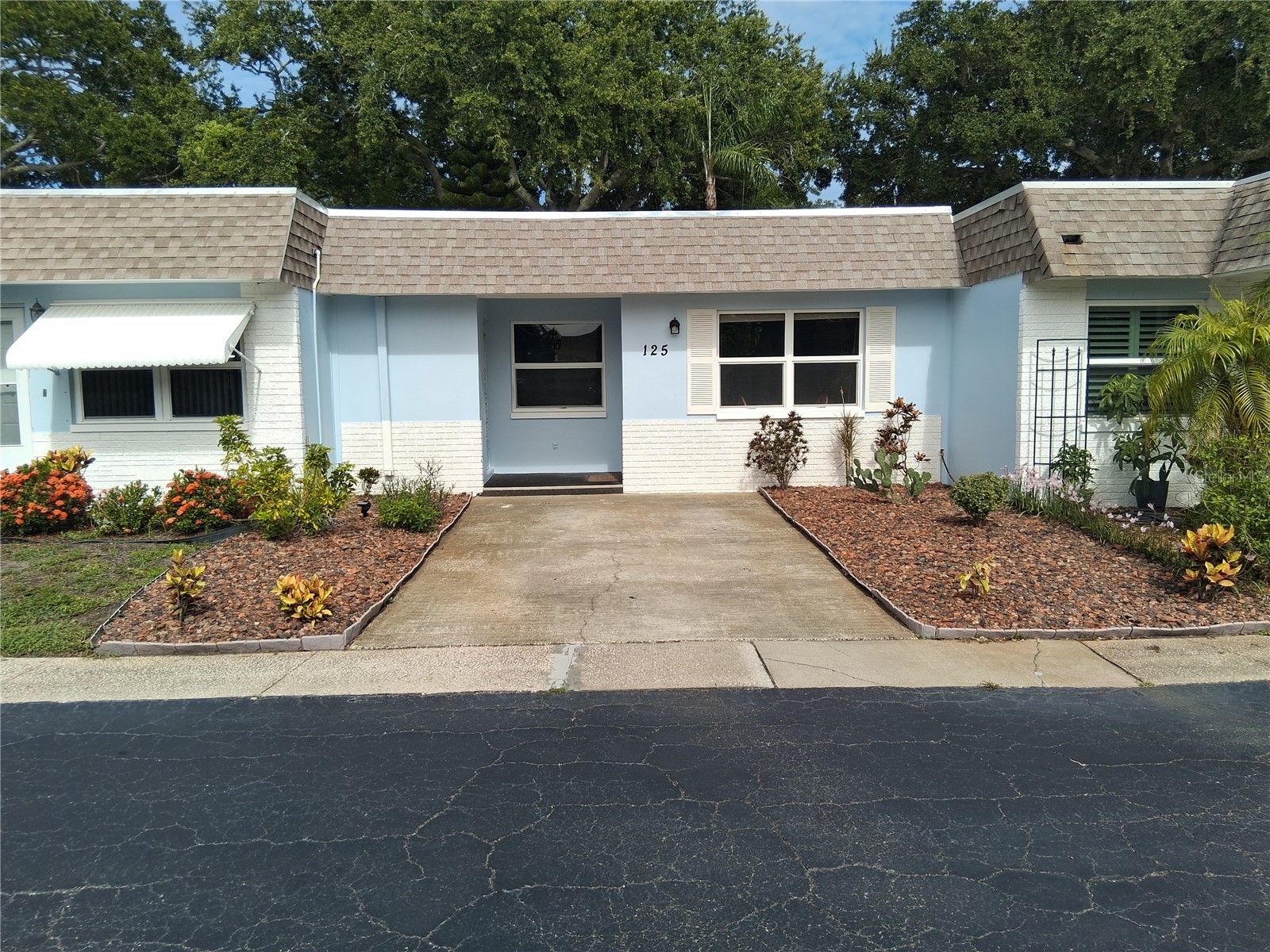 125 Portree Drive Dunedin FL 34698 TB8529769 image1