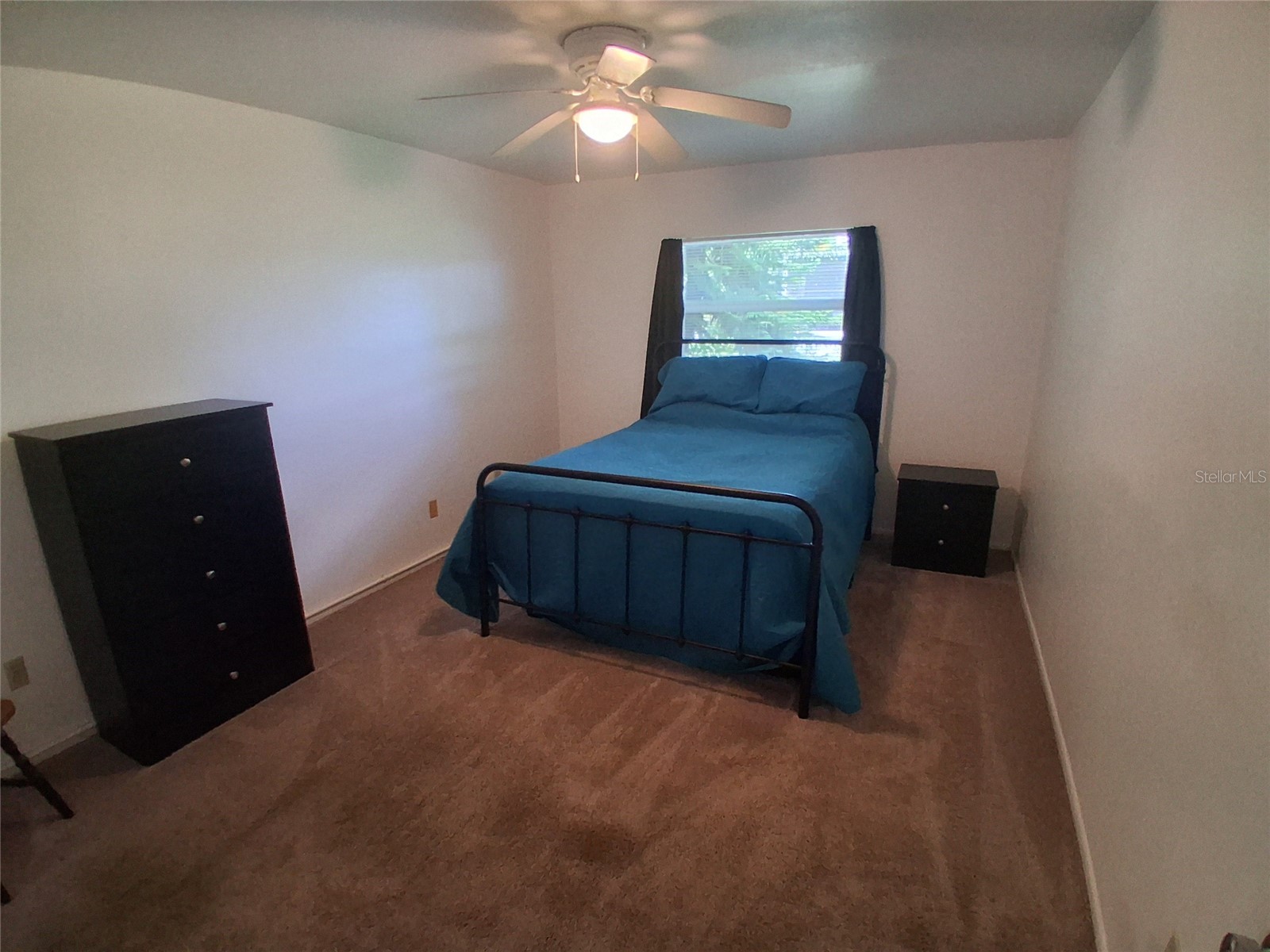125 Portree Drive Dunedin FL 34698 TB8529769 image8