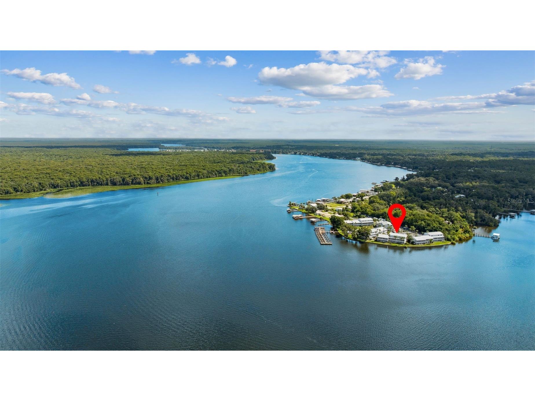 125 River Bend Place #D Welaka FL 32193 - ST JOHNS RIVER GC537889 image52
